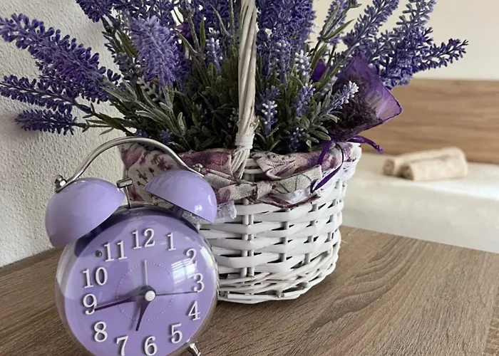 Na Farme U Rudolfa 3* 체스케부데요비체